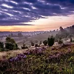 דירה Ruhepol Fuer Mensch & Tier In Der Lueneburger Heide Vierhofen