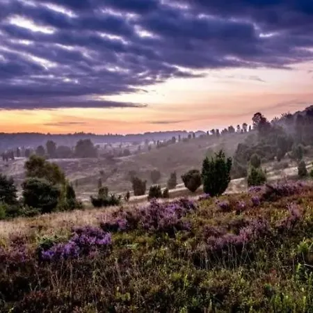 Appartamento Ruhepol Fuer Mensch & Tier In Der Lueneburger Heide Vierhofen